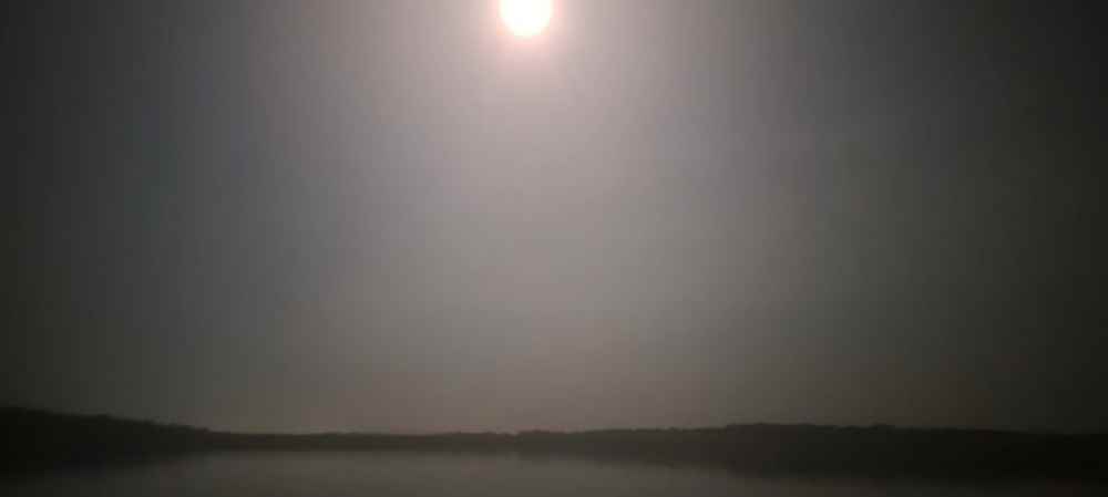 Screenshot_20210725-020934_Gallery.jpg
