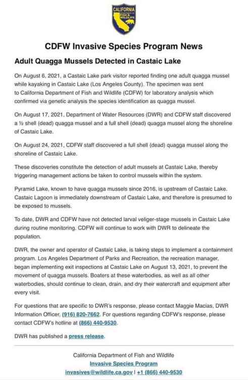 Castaic Quagga Mussel Press Release_083021.jpg