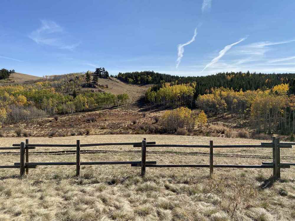 Big Horn National Forest-Buffalo-Wyo.jpg