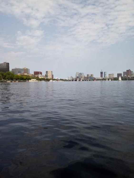 20210801_145042_resized.jpg