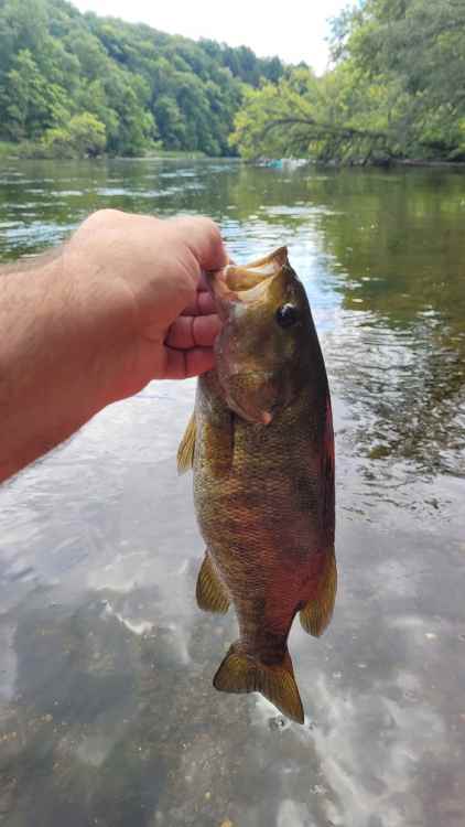 20210802_SM2.thumb.jpg.e10b22fc35110a75b0b3c0e5b5b1d8da.jpg