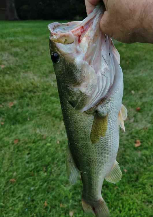 20210829_155806.thumb.jpg.2b5285240b3c107491620f3079666d3b.jpg