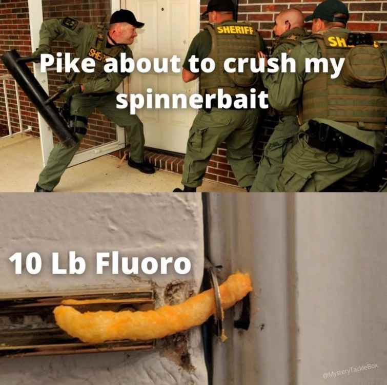 FB_IMG_1628467808113.jpg