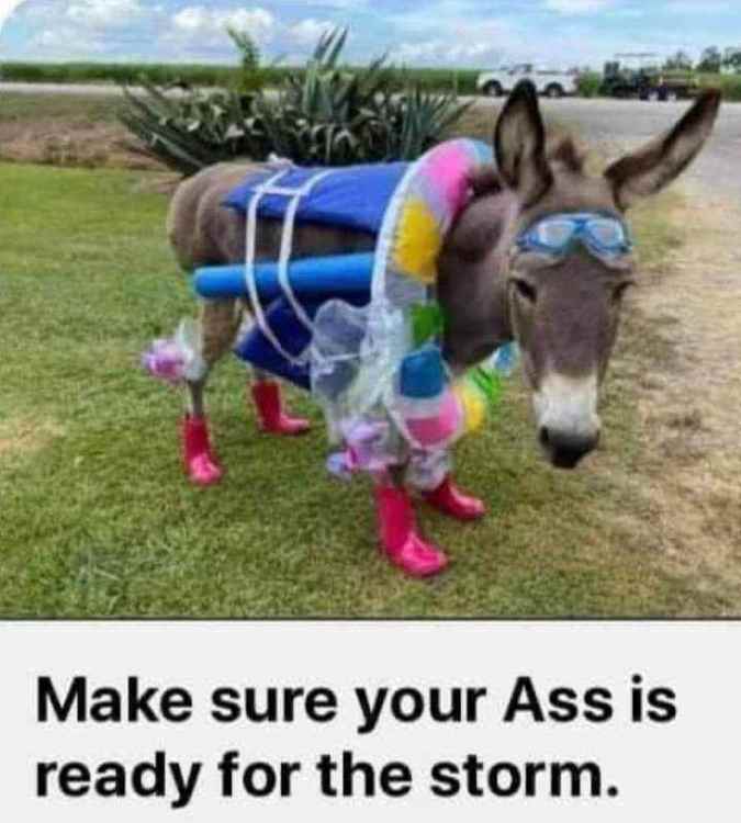 FB_IMG_1630164313879.jpg