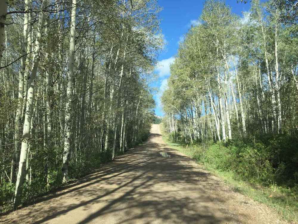 La-Barge-Creek-Road-Big-Piney-Wyo.jpg