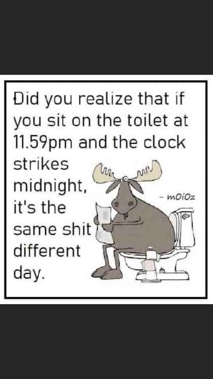 image.thumb.jpeg.5ecc83b32d9352e279b445d2e02b82a9.jpeg