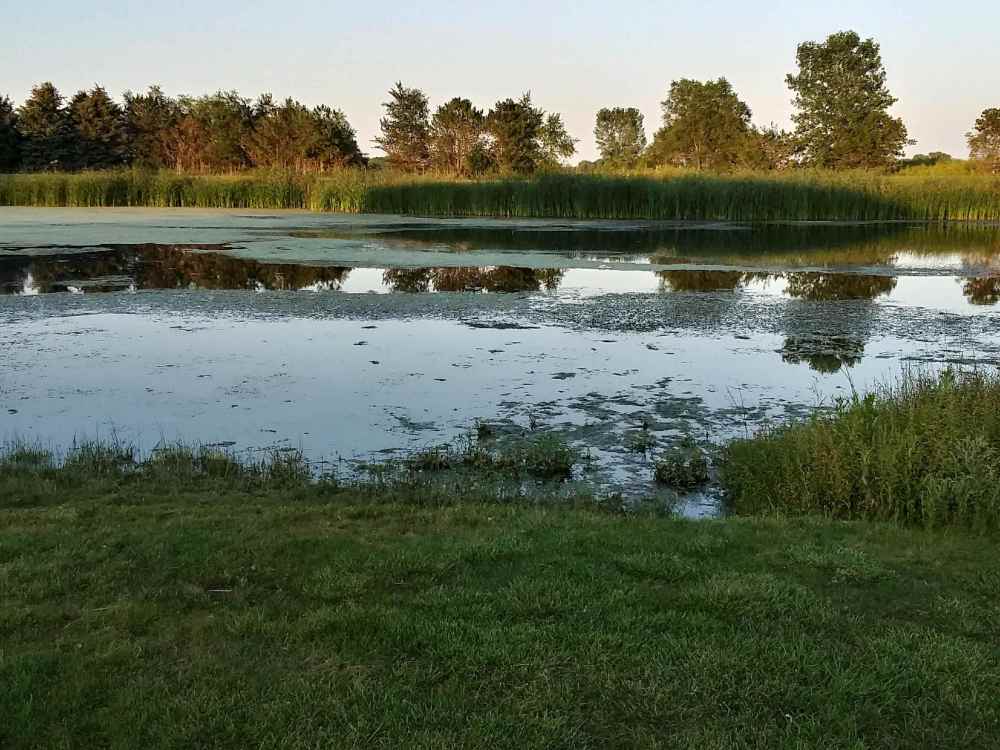 20210816_192325_HDR.thumb.jpg.a2348d82d4b42b8205352c4608bd57b1.jpg
