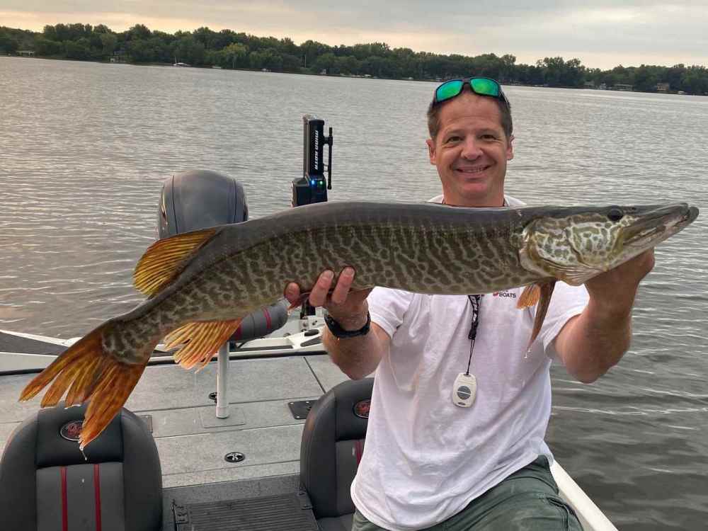 8-28-21 40 inch tiger.jpg