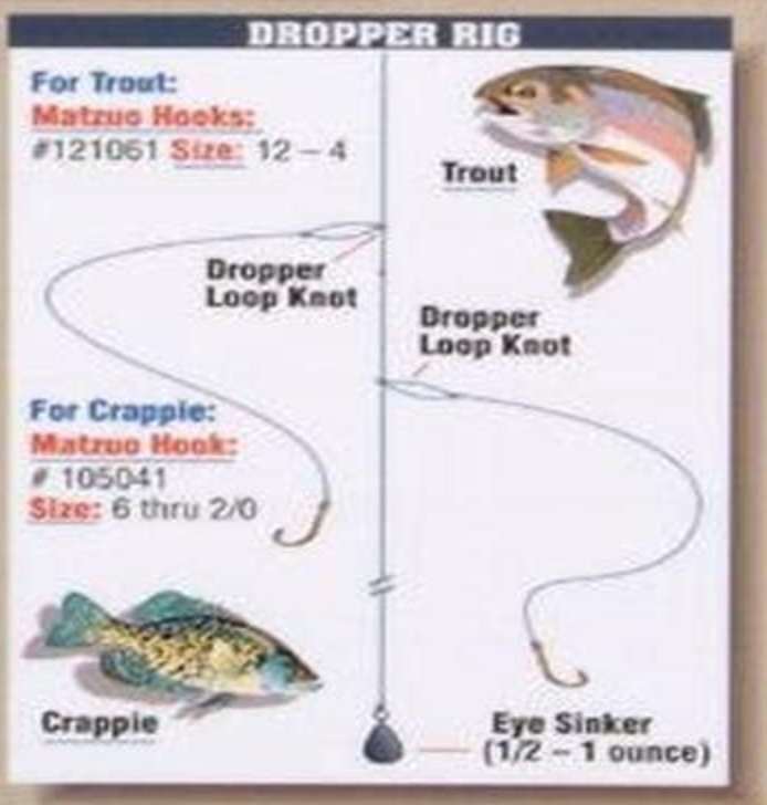 Murray's Triple drop-shot” - Fishing Tackle - Bass Fishing Forums