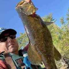 Gut hooked fish on a Wacky Rig - Page 2 - General Bass Fishing