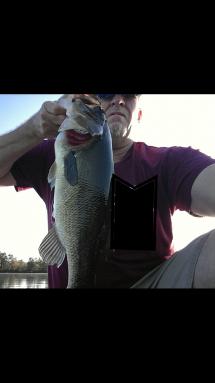 Screenshot_20210920-142036.png