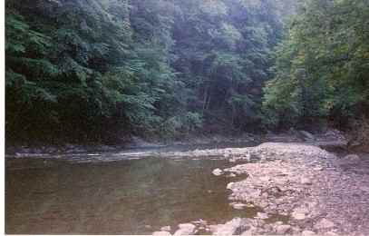 Wissahickon0004.jpg.d6909ce826fdd727b231532e18bf63f2.jpg