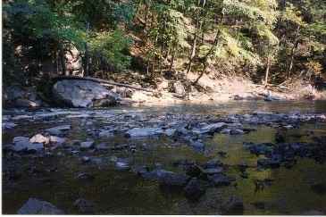 Wissahickon0007.jpg.653b17a66d2d842df8c07ec9f2247b7e.jpg