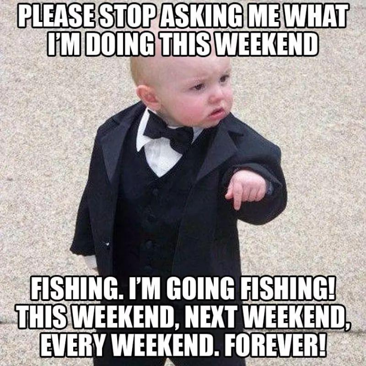 image.thumb.png.0f82986c3cfb12f607811674cd2e1fd8.png