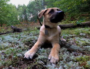Tank's filling out a bit