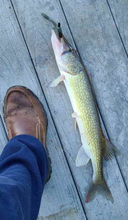 20210927_082227_copy_537x919.jpg