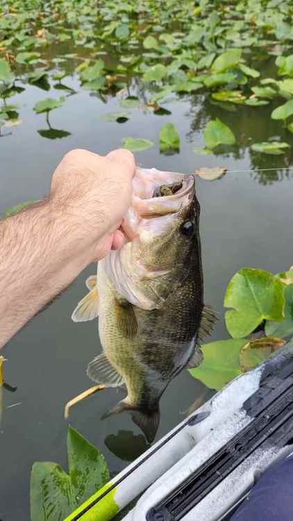 20211005_3_34.thumb.jpg.ab4bc8df811793796a825fd323bf27f7.jpg
