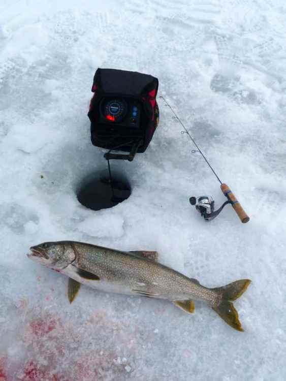 216699325_icefishing2-22-15b.thumb.jpg.d01f9fb37c539ec7155a16fa1e9d788b.jpg