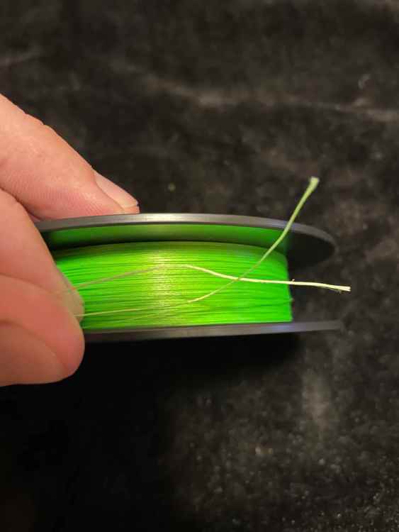 braid 2.jpg