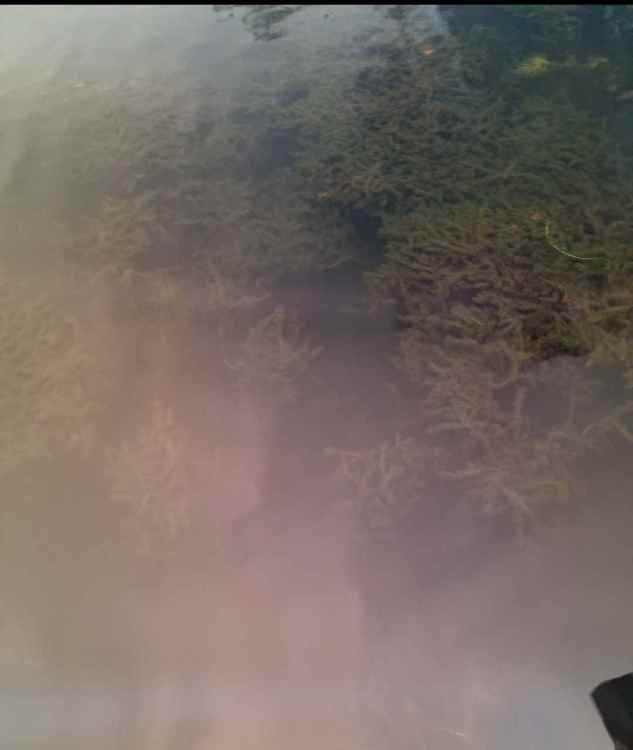 Screenshot_20211013-185018_Gallery.jpg