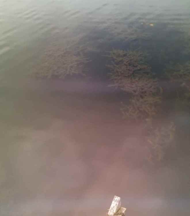 Screenshot_20211013-185031_Gallery.jpg