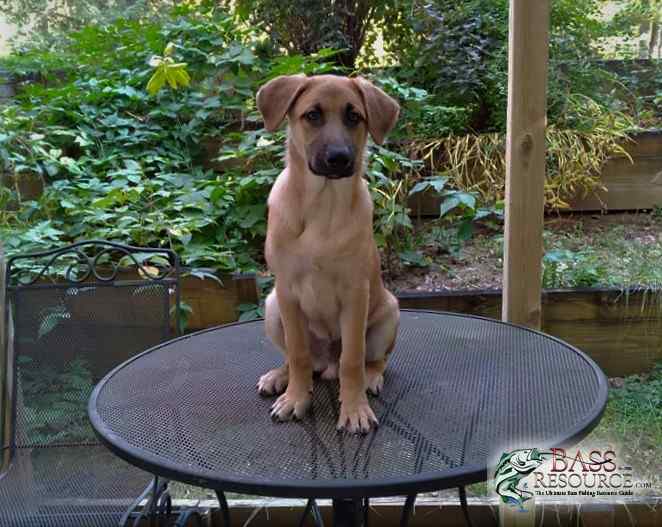 Tank at 4 months ~