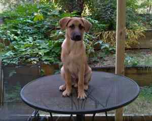 Tank at 4 months ~