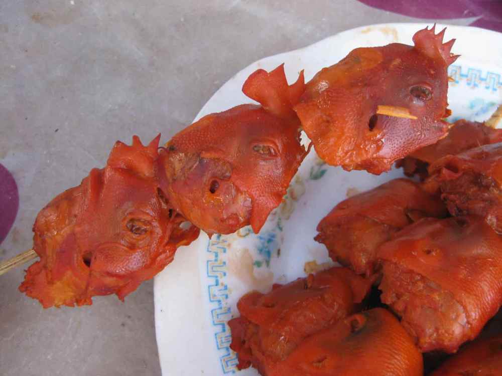 1544688358_chickenheads011.thumb.JPG.230436e7383787a43b12037a219bb28f.JPG