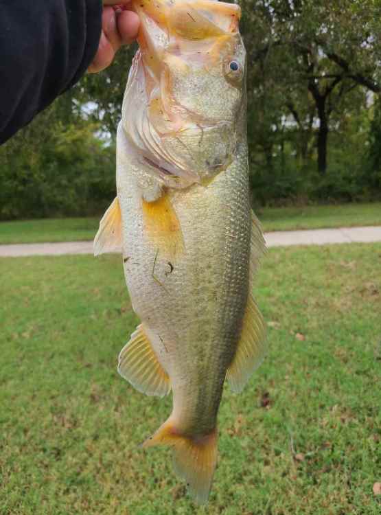 20211104_123345.jpg