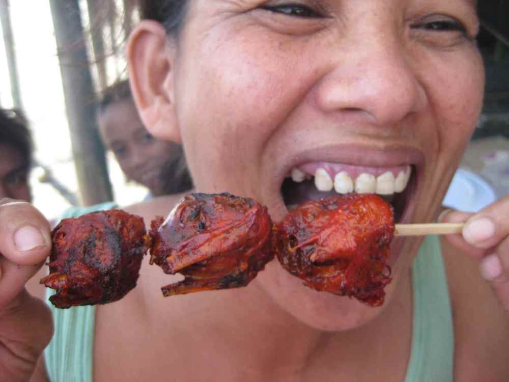 41063182_chickenheads012.thumb.JPG.a37c2fb901da79b7cda049f6583efa02.JPG
