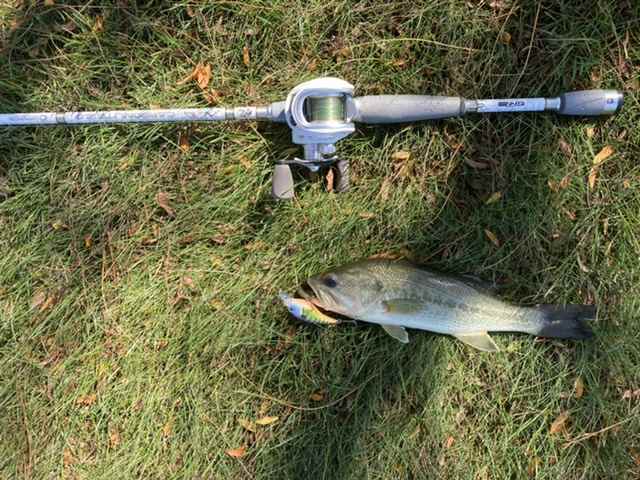 Best bank fishing casting rod? - Fishing Rods, Reels, Line, and Knots -  Bass Fishing Forums