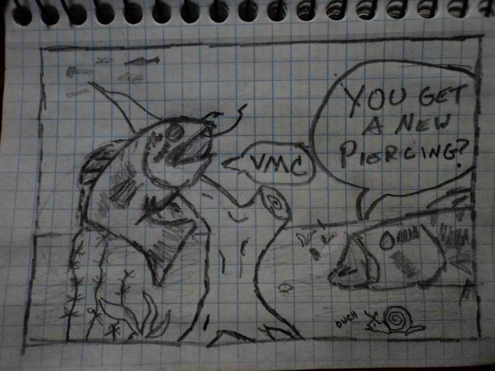 DSC06815sm.thumb.jpg.382520fa9cdc0bb2a1e13422e9c5093b.jpg