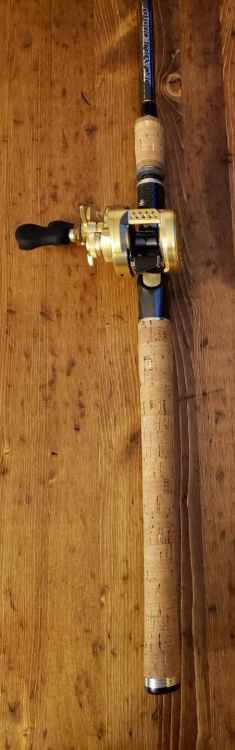 20211130_191509_copy_451x1442.jpg