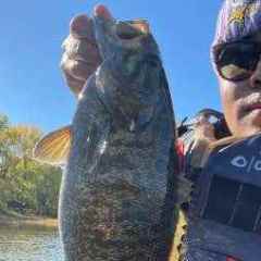larrymarketfishing