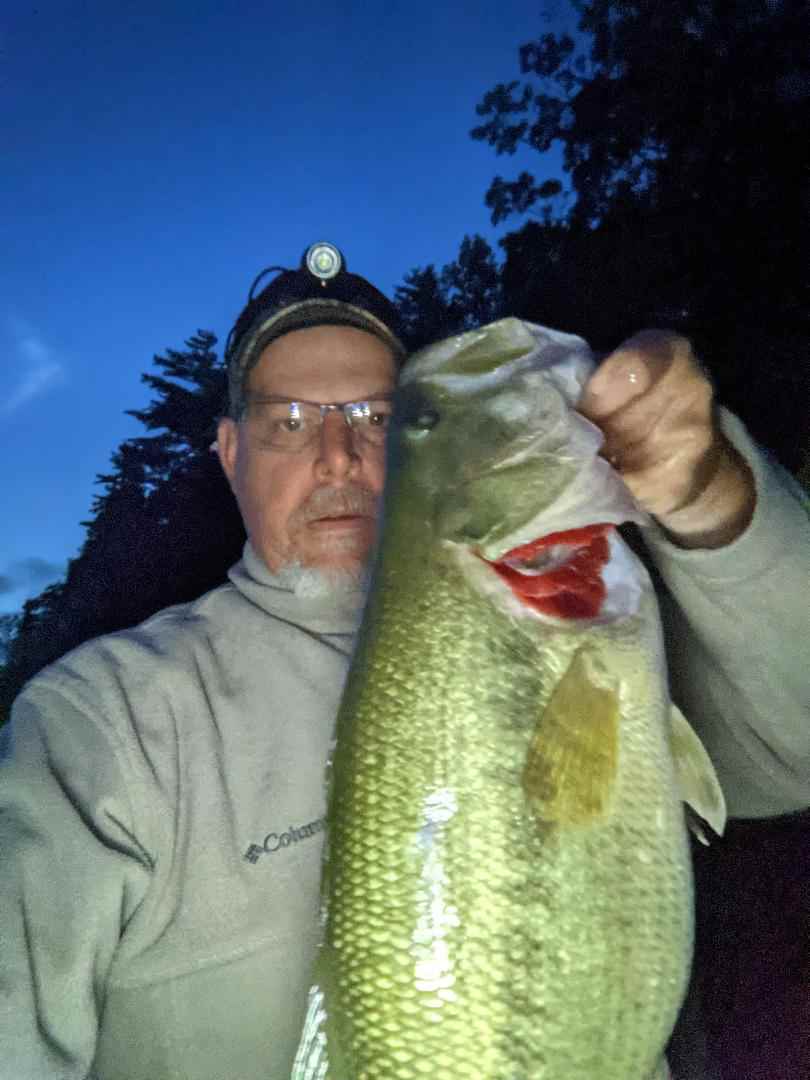 New Bait Infatuation - Fishing Tackle - Bass Fishing Forums