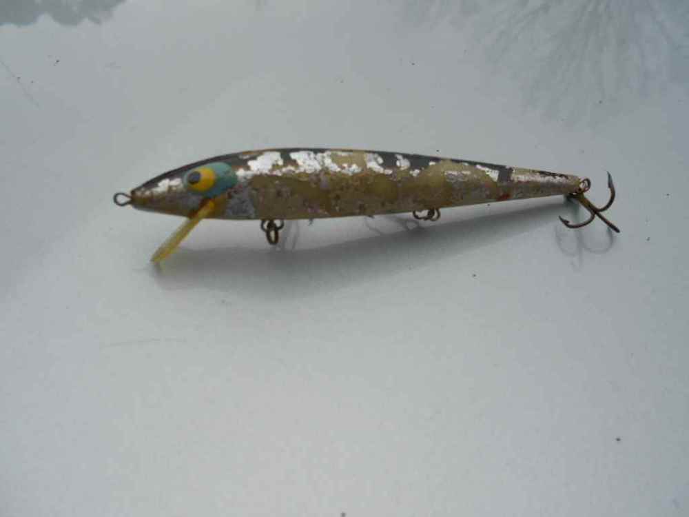 DSCN4906.JPG