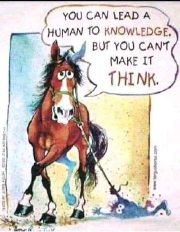 FB_IMG_1625427591725.jpg