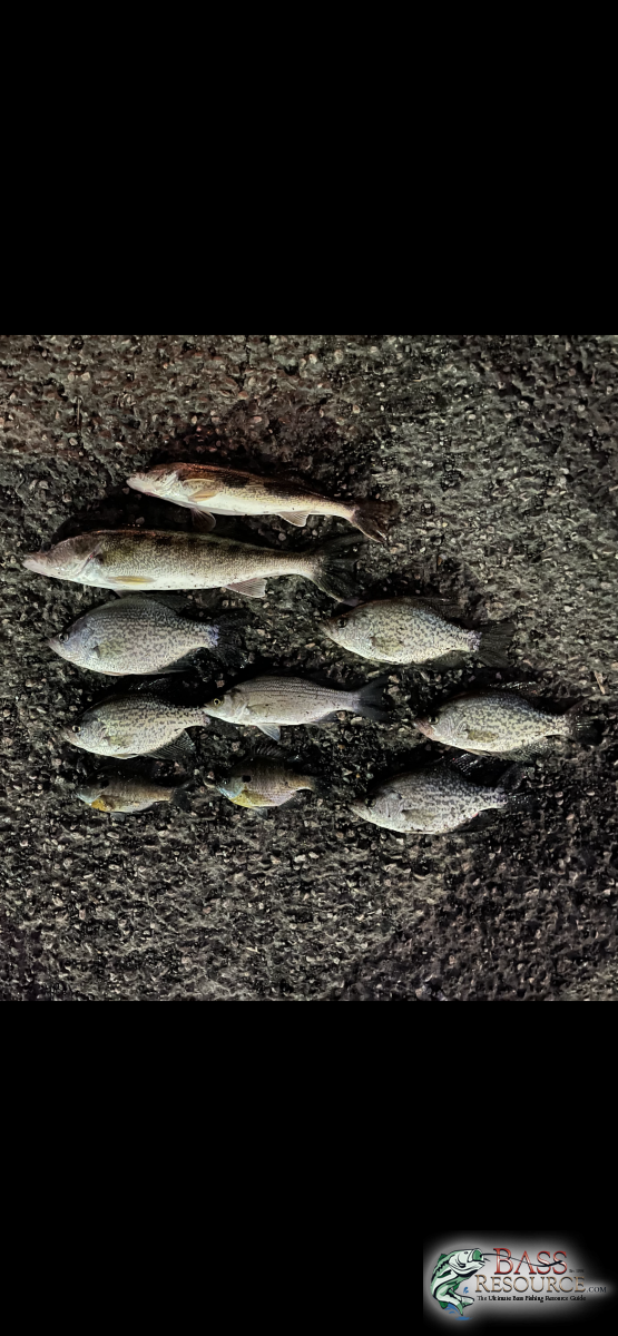 B0166EFD-C96C-484C-9C5B-D28EDB5EA681.png