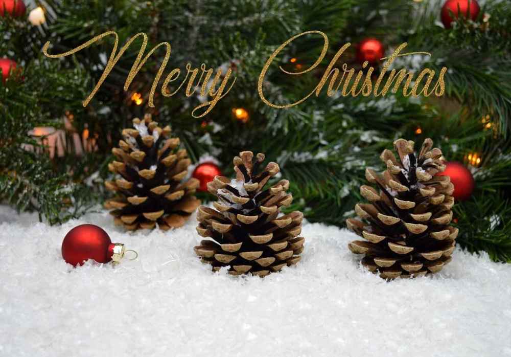 merry-christmas-6814797.jpg