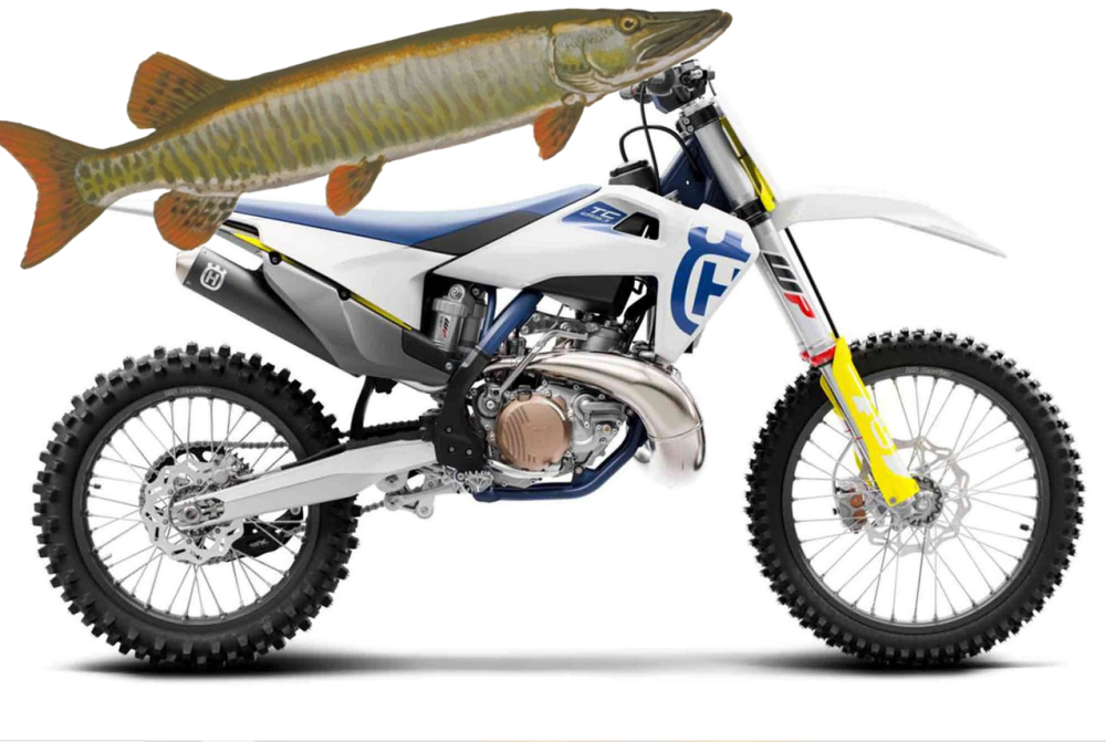musky-husky.thumb.png.8da8cd925e071b3c89deb984d1a0baaf.png