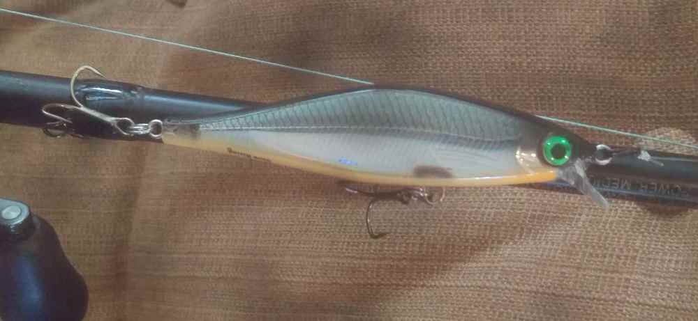 Shadow Rap Shad found lures.jpg