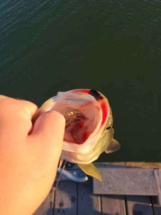 20220125_232505.jpg