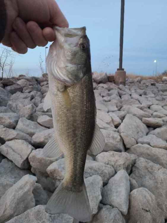 20220130_235622.jpg