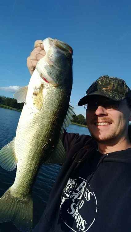 BassResource3-11.jpg