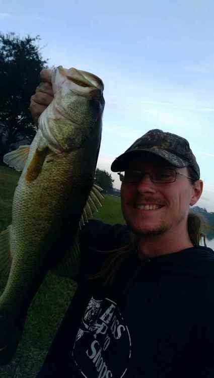 BassResource3-9.jpg