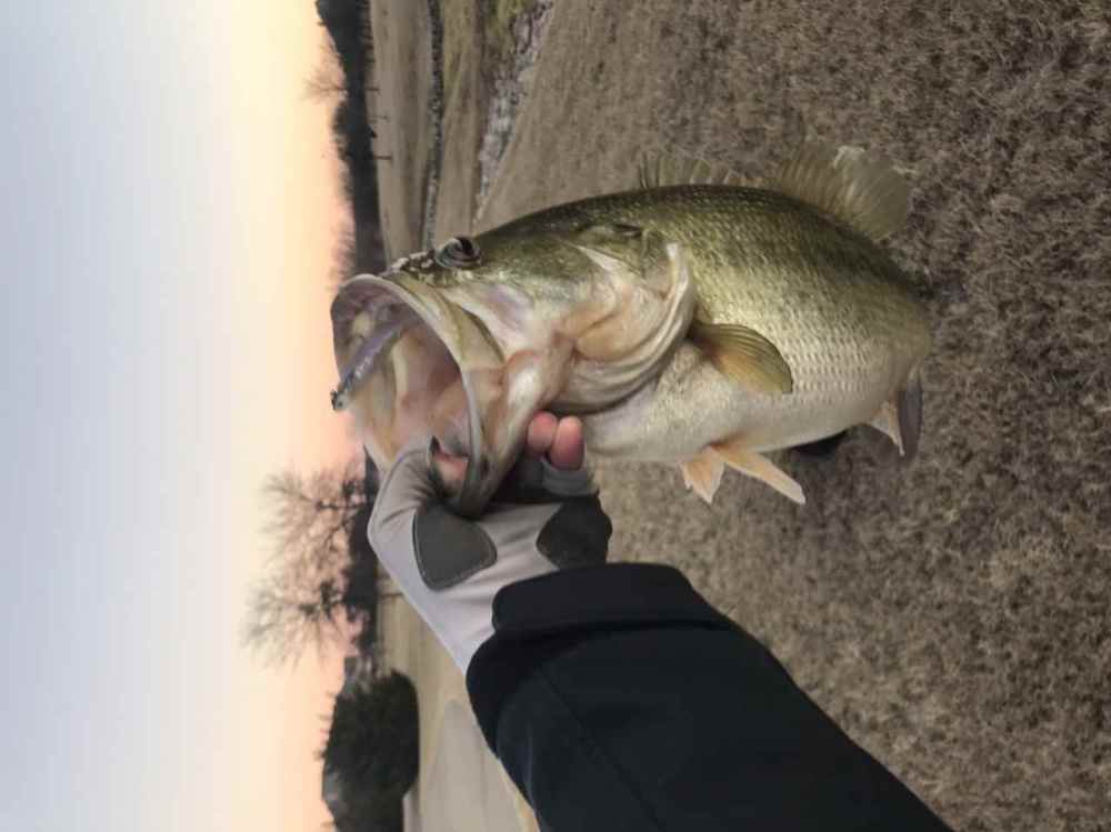 E0E272AB-571E-44A6-AF54-3B0858A93E7F.jpeg