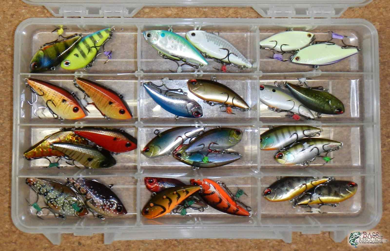 Assorted Lippless