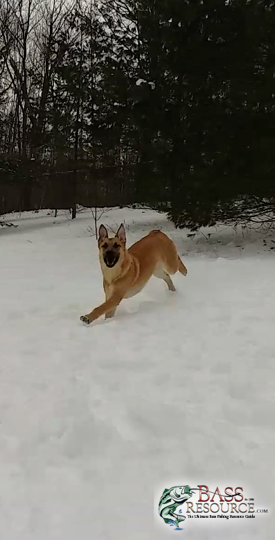 Tank at 7 months