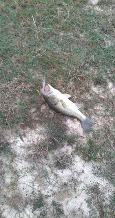 received_219494466928914.jpeg