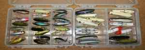 Topwater Walkers Poppers and Ploppers